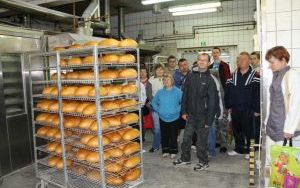 Aktywizacja zawodowa (1)